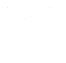 Fast results icon